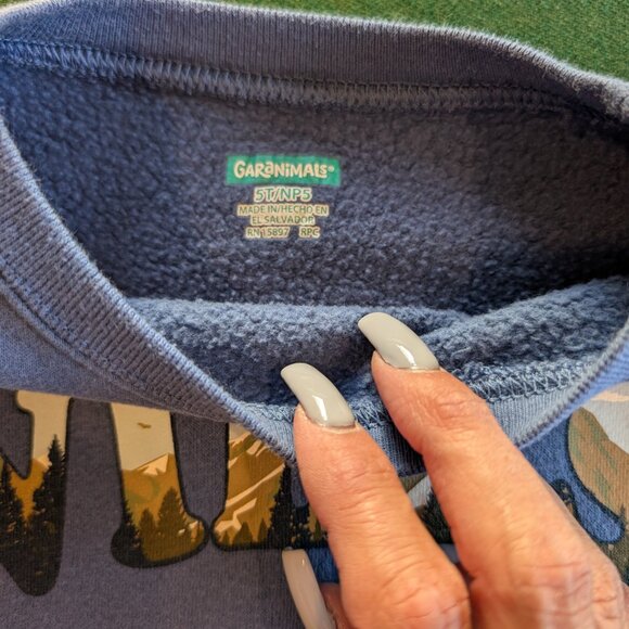 Bundle Boy's Sweatshirts 5T 💙 - Picture 5 of 5